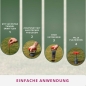Preview: Effektive Wühlmausfalle V1 mit praktischem Zubehör zur einfachen und umweltfreundlichen Schädlingsbekämpfung im Garten Preview: Effektive Wühlmausfalle V1 mit praktischem Zubehör zur einfachen und umweltfreundlichen Schädlingsbekämpfung im Garten
