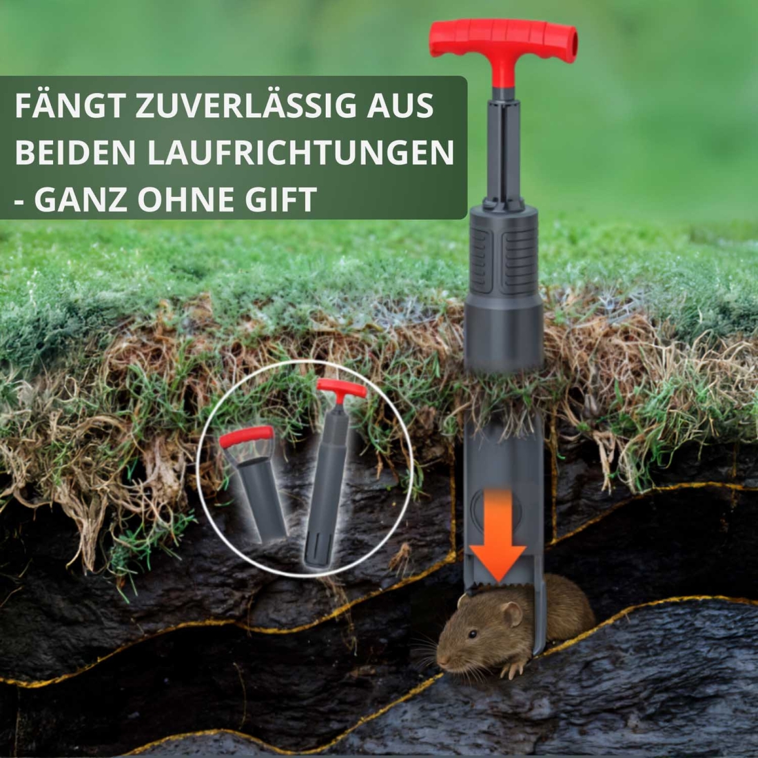 Wühlmausfalle V1 fängt zuverlässig aus beiden Richtungen – ohne den Einsatz von Gift. Wühlmausfalle V1 fängt zuverlässig aus beiden Richtungen – ohne den Einsatz von Gift.