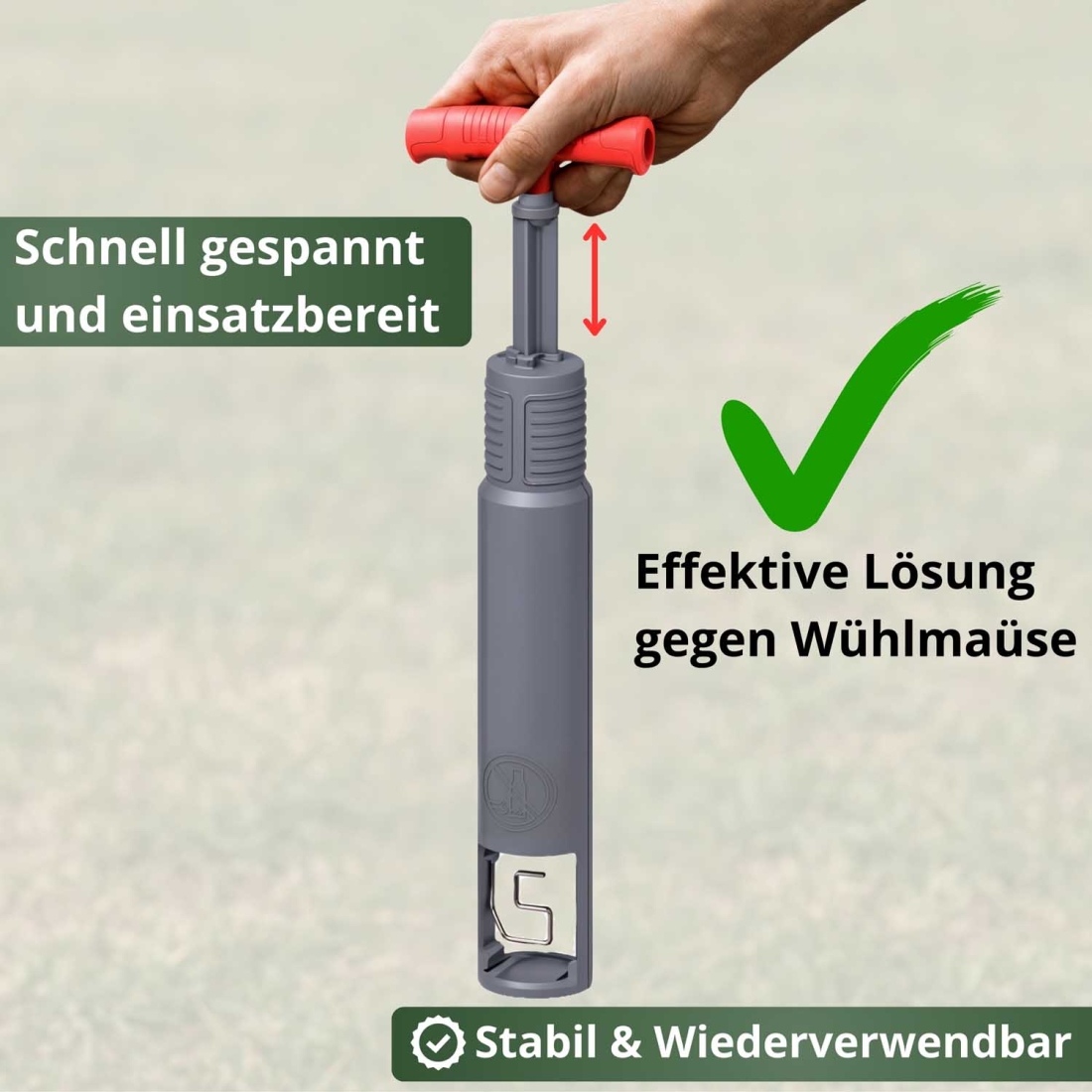 Wühlmausfalle V1, manuell gespannt, robuste und wiederverwendbare Falle für effektive, giftfreie Wühlmausbekämpfung. Wühlmausfalle V1, manuell gespannt, robuste und wiederverwendbare Falle für effektive, giftfreie Wühlmausbekämpfung.